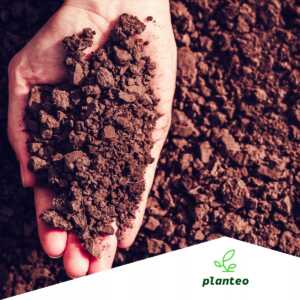 nawóz organiczny do krzewów Planteo 1kg