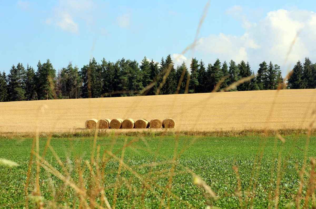 b7c98f5d4d38ea2dee930cb1a9c6e329