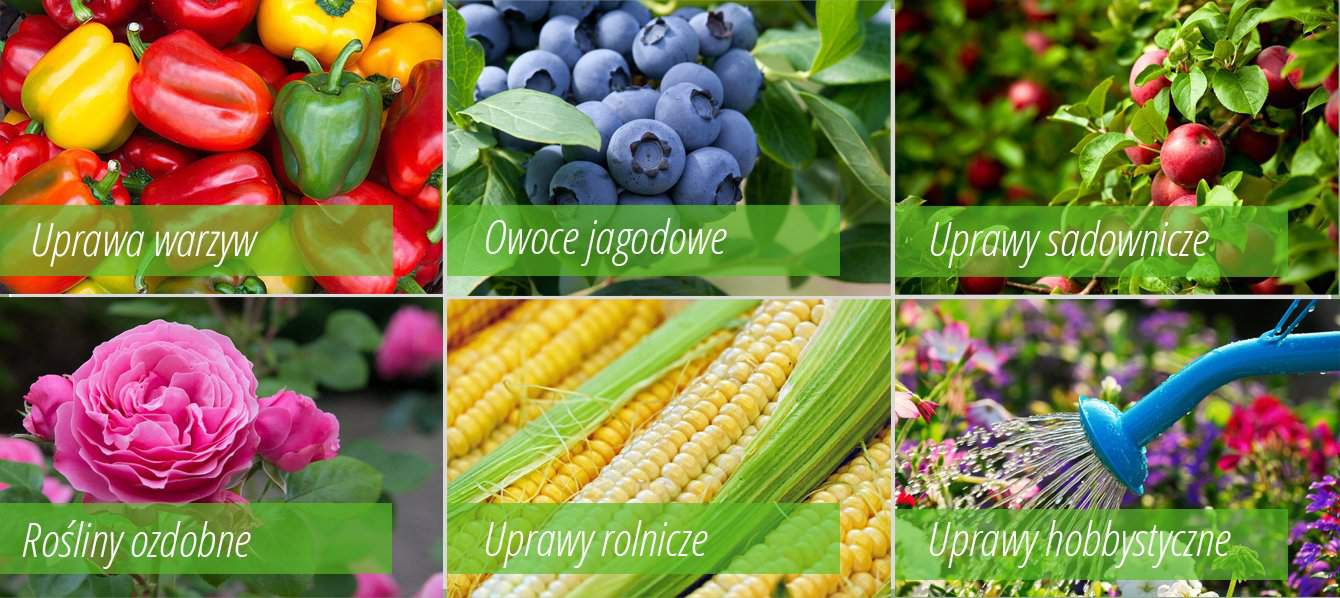 kwasy humusowe, florahumus, nawóz ekologiczny, nawóz naturalny, 