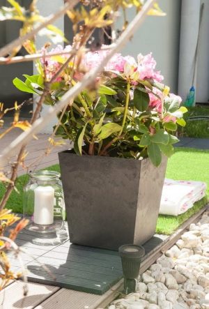 3e74b1ab48988d7bcae20559b04d-2