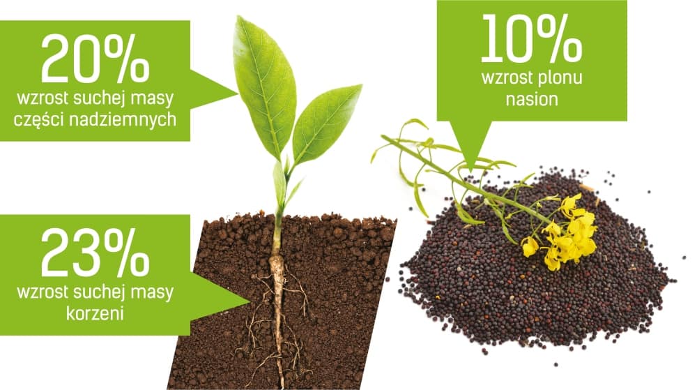 kwasy humusowe, florahumus, nawóz ekologiczny, nawóz naturalny, 