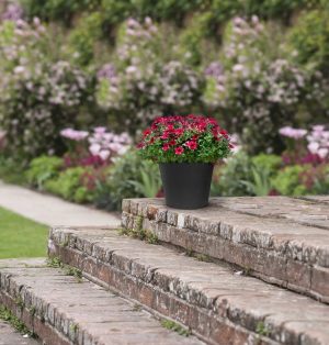 db32cafb4f619463f8343f2c0b3b-1