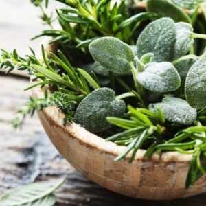 płyn aromatyczne zioła planteo 1l
