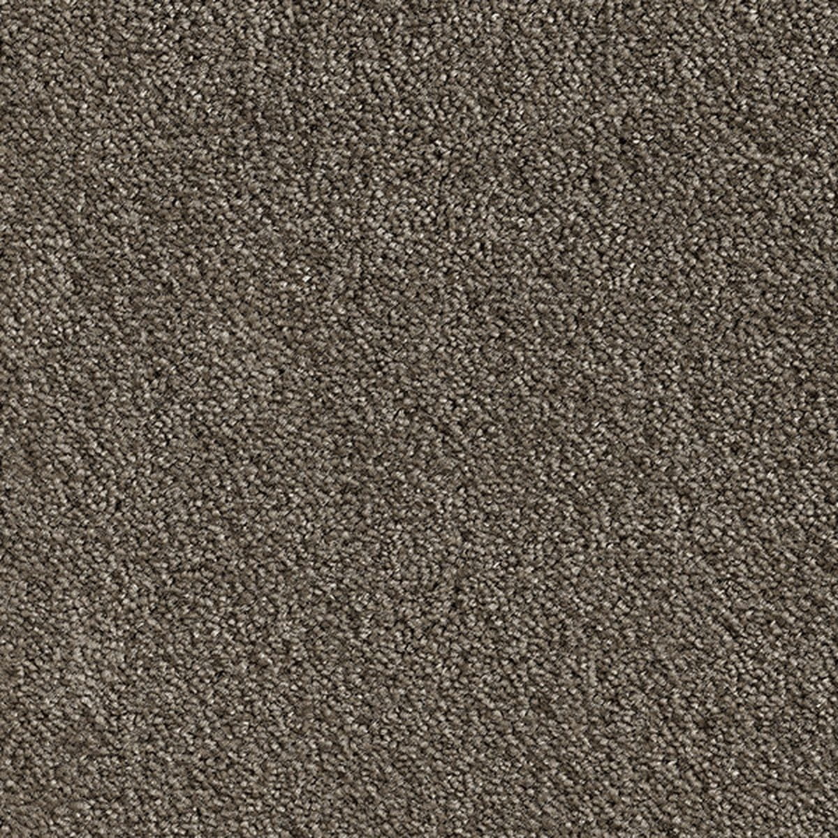 2e476142d95e8d18c97ec8b7d13e9cac