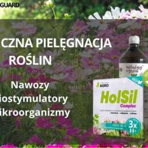 pałeczki nawozowe grzybobójcze zielony dom 20szt