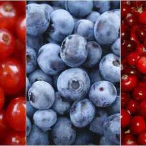nawóz organiczny Planteo granulat 3 kg
