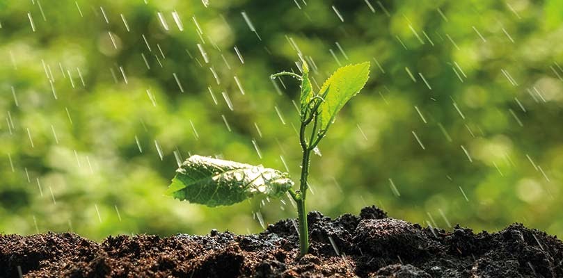 415506f4ebd3c4457907052b32eab2e0